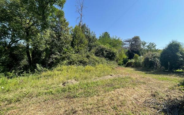 Terrain à vendre    Urt