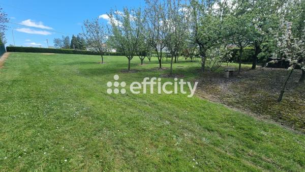 Terrain - 1174 m²