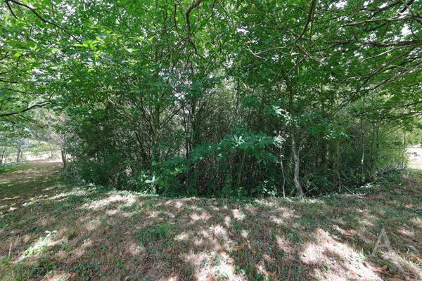 Maison à Vendre à Legé
