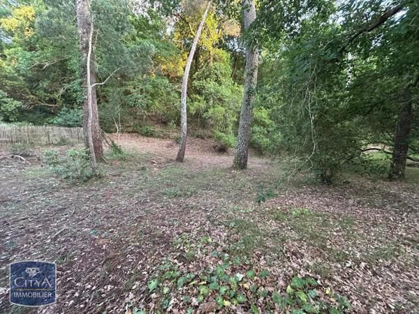 Terrain à vendre 1050m²