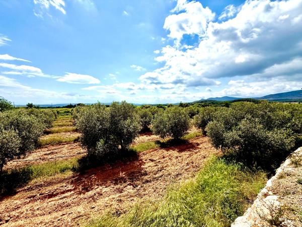 Magnifique domaine sur le secteur Rivesaltes / Espira de l'Agly !