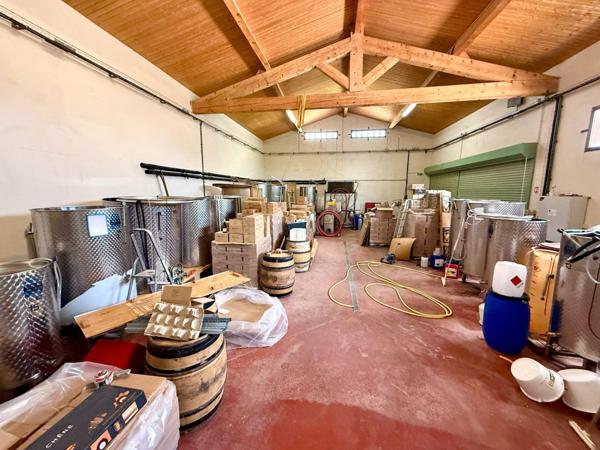 Magnifique domaine sur le secteur Rivesaltes / Espira de l'Agly !