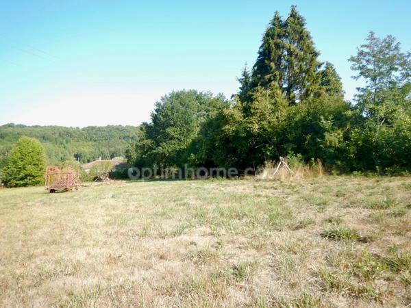 Terrain constructible 2918 m² CHATEAU-L'EVEQUE (24)