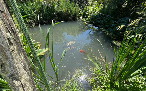 Maison à vendre    6 pièces • 260 m2 Poyanne