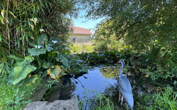 Maison à vendre    6 pièces • 260 m2 Poyanne