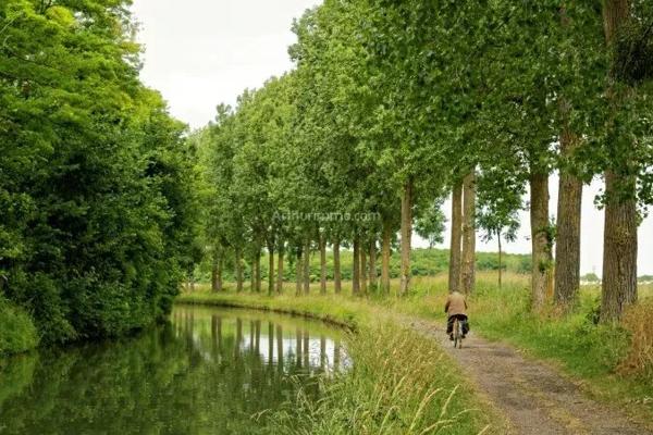 Location Appartement 2 pièces 45 m2 à Claye-Souilly