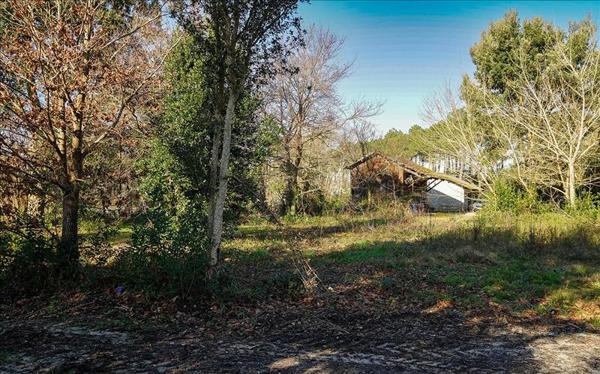 Terrain à vendre |  Bénesse-Maremne |  755 m²