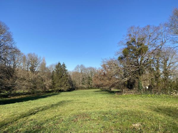 TERRAIN CONSTRUCTIBLE AVEC PRAIRIE DE 1ha Détails des diagnostics énergétiques