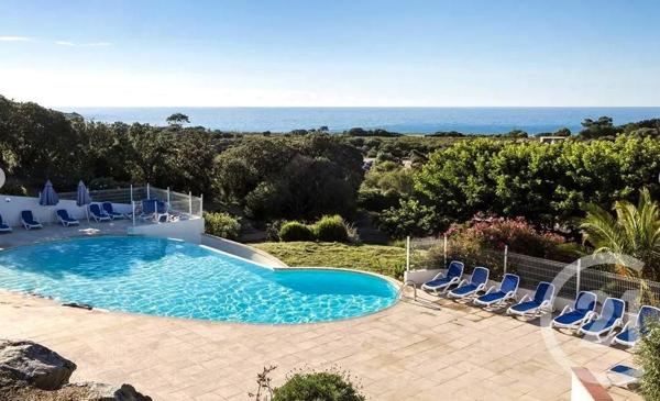 Appartement T3 à vendre  3 pièces - 45 m2 PALASCA - 202