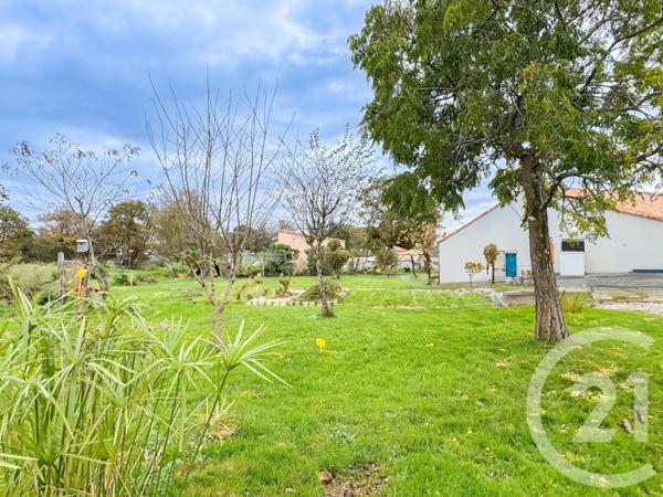 Terrain à vendre  682 m2 STE FOY - 85