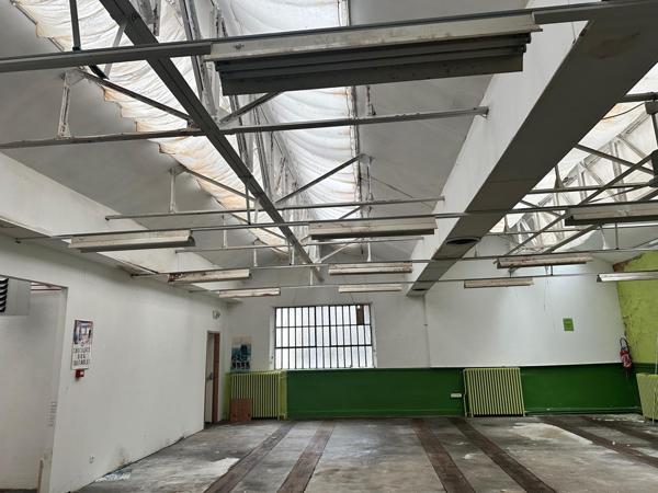 Surface de 400 m carrés en rez-de-chaussée de jardin à exploiter à Remiremont centre.