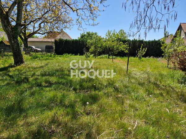 Maison familiale avec grand jardin - Saint Mammès