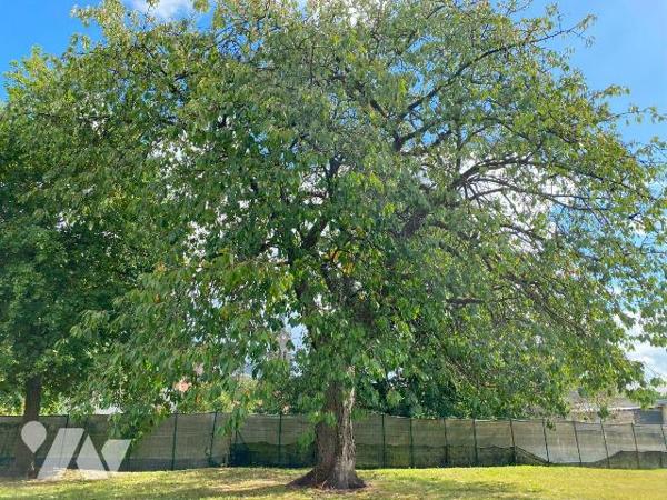 BEAUCAMPS-LE-VIEUX Maison d'habitation mitoyenne offrant au rez-de-chaussée cuisine, salon avec...