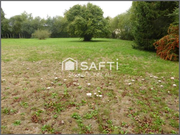 LE TERRAIN FAIT POUR VOUS !