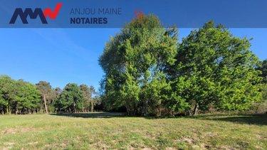 Terrain de loisirs - Bois - Etang à vendre à Courtillers dans la Sarthe (72300), ref : 72068-2194
