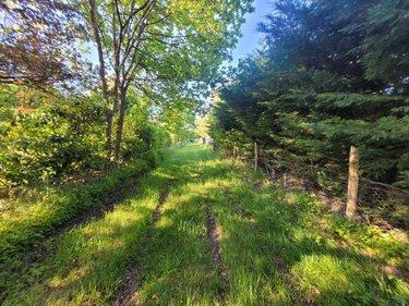 Terrain de loisirs - Bois - Etang à vendre à Courtillers dans la Sarthe (72300), ref : 72068-2194