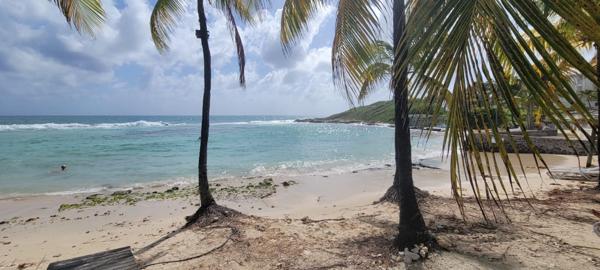 Saint-François (97118) Studio dans résidence avec accès mer idéal investisseur