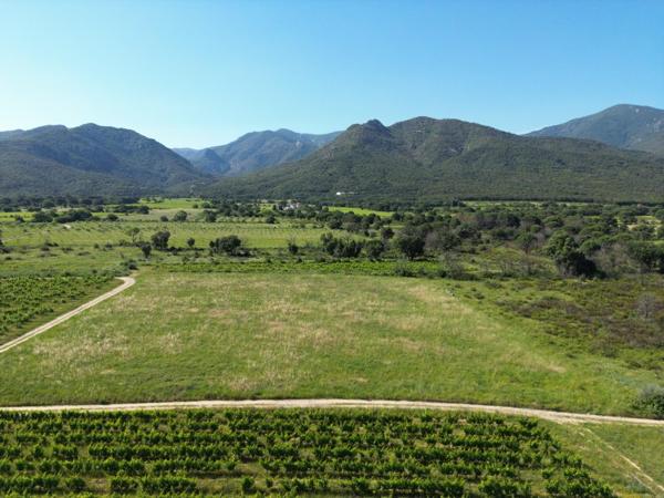 Vente / Terrain agricole