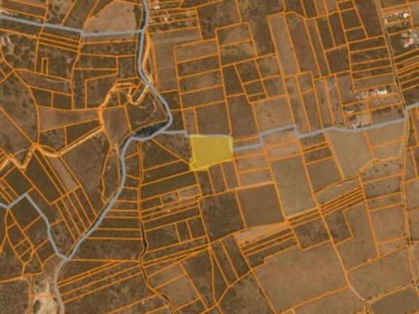Vente / Terrain agricole