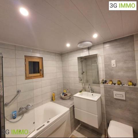 Vente / Chalet