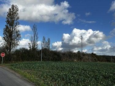 Terrain de loisirs - Bois - Etang à vendre à Courtenay dans le Loiret (45320), ref : TER 240001