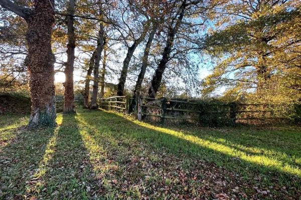 Maison familiale d'exception T10 de 414,18 m² surface au sol / 332 m2 habitables Terrain 4 192 m² belles prestations-Bréal sous Monfort