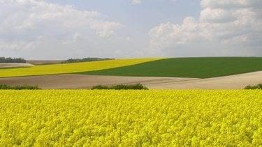 Bien agricole à vendre à Guilly dans l'Indre (36150), ref : 021/1155