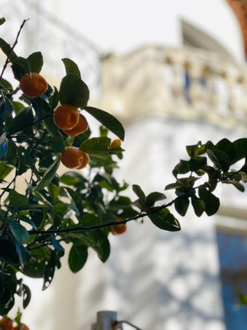 Grabels (34790) Découvrez une villa Art déco d’exception au cœur de Grabels !