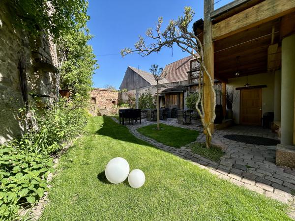 Pfaffenheim (68250) Maison 250m2 + Bar à vin 50m2 (Licence 3), Vignoble, Pfaffenheim