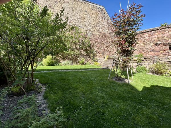 Pfaffenheim (68250) Maison 250m2 + Bar à vin 50m2 (Licence 3), Vignoble, Pfaffenheim