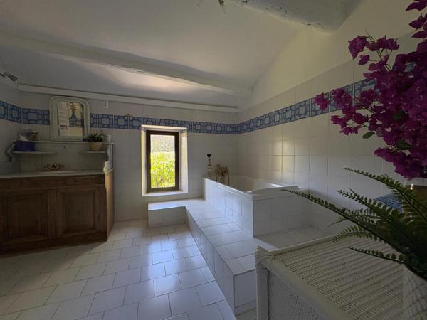 A vendre Aix-en-Provence Sud véritable mas à Trets proche Peynier vue Sainte Victoire au calme avec grand jardin paysagé