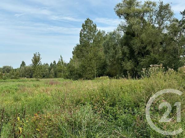 Maison à vendre  20 pièces - 177,47 m2 MONTREUIL SUR MER - 62