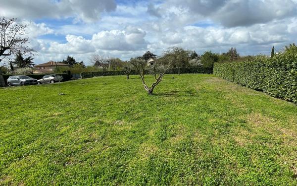 Terrain à vendre    Caluire-et-Cuire