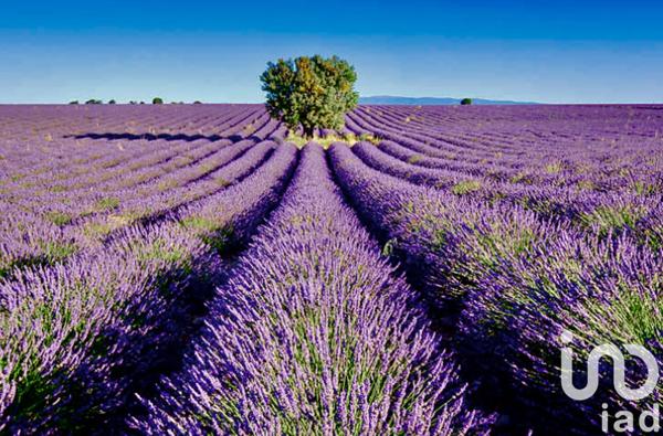 House for sale 3 rooms 64 m² Valensole