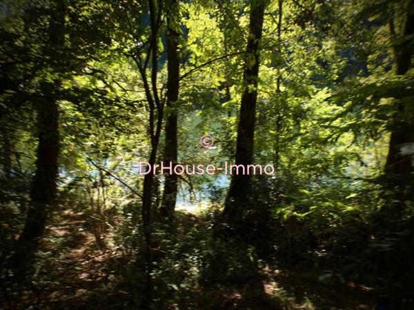 Immeuble à vendre 15 pièces de 220 m²