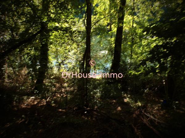 Immeuble à vendre 15 pièces de 220 m²