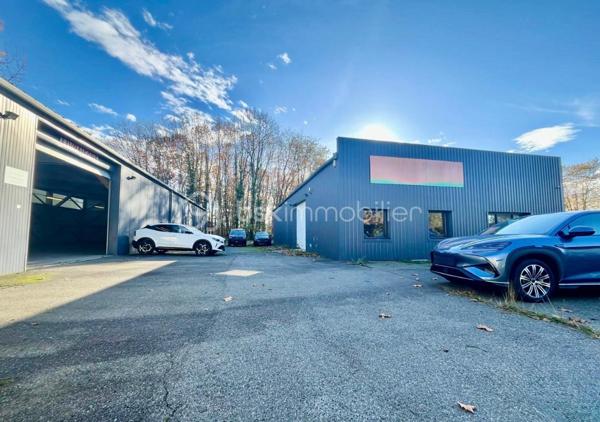 Local d activites de 771 m²