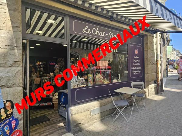 Vente                                                      Immeuble
                        
                     2 pièces                                         à Guingamp