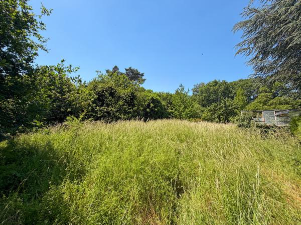 Maison Palaiseau 5 pièce(s) 90m2