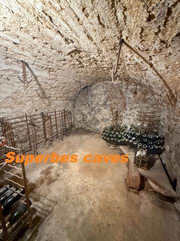 Propriete en pierres de 252 m2, avec dépendances, à COUCHES avec 1186 m2 de terrain.