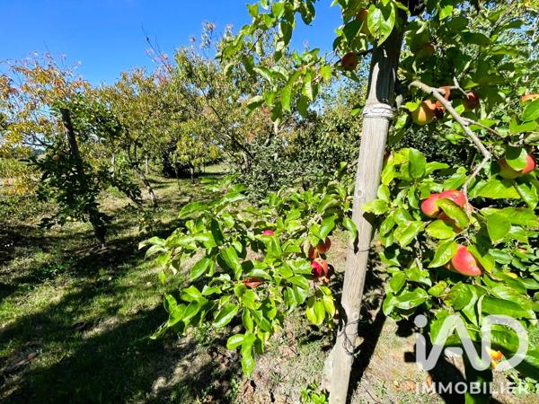 Maison à vendre 5 pièces 182 m² Baugé-en-Anjou