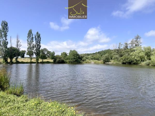Bel espace naturel avec 2 beaux étangs et prairie !