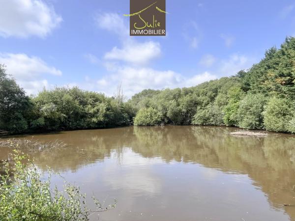 Bel espace naturel avec 2 beaux étangs et prairie !
