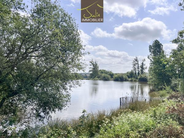 Bel espace naturel avec 2 beaux étangs et prairie !