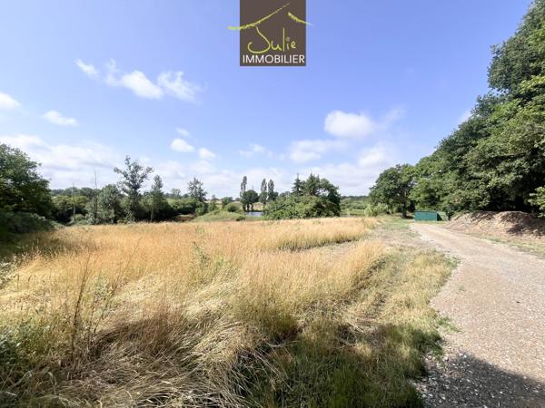 Bel espace naturel avec 2 beaux étangs et prairie !