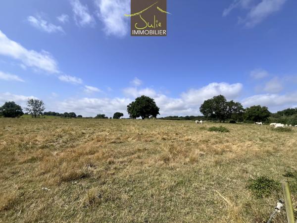 Bel espace naturel avec 2 beaux étangs et prairie !