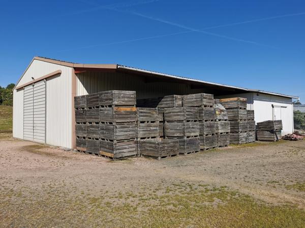 Propriété orientée chevaux : 154m2, 10ha, hangar