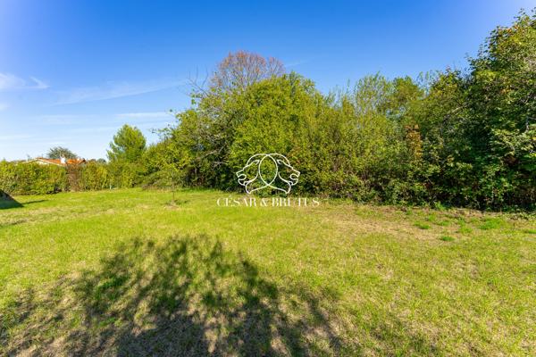 Terrain constructible