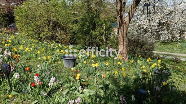 Maison 4 pièces - 102 m² Exclusivité efficity