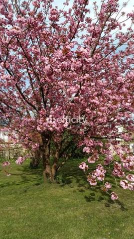 Maison 4 pièces - 102 m² Exclusivité efficity